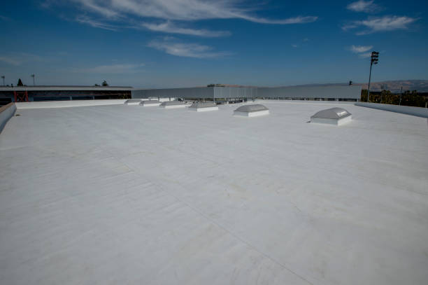 Best Cold Roofs  in Wewahitchka, FL